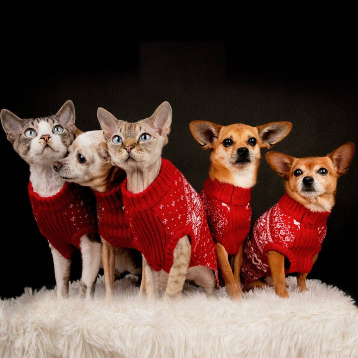 Holiday Family Sweater,  Snowflakes Sweater in True Red