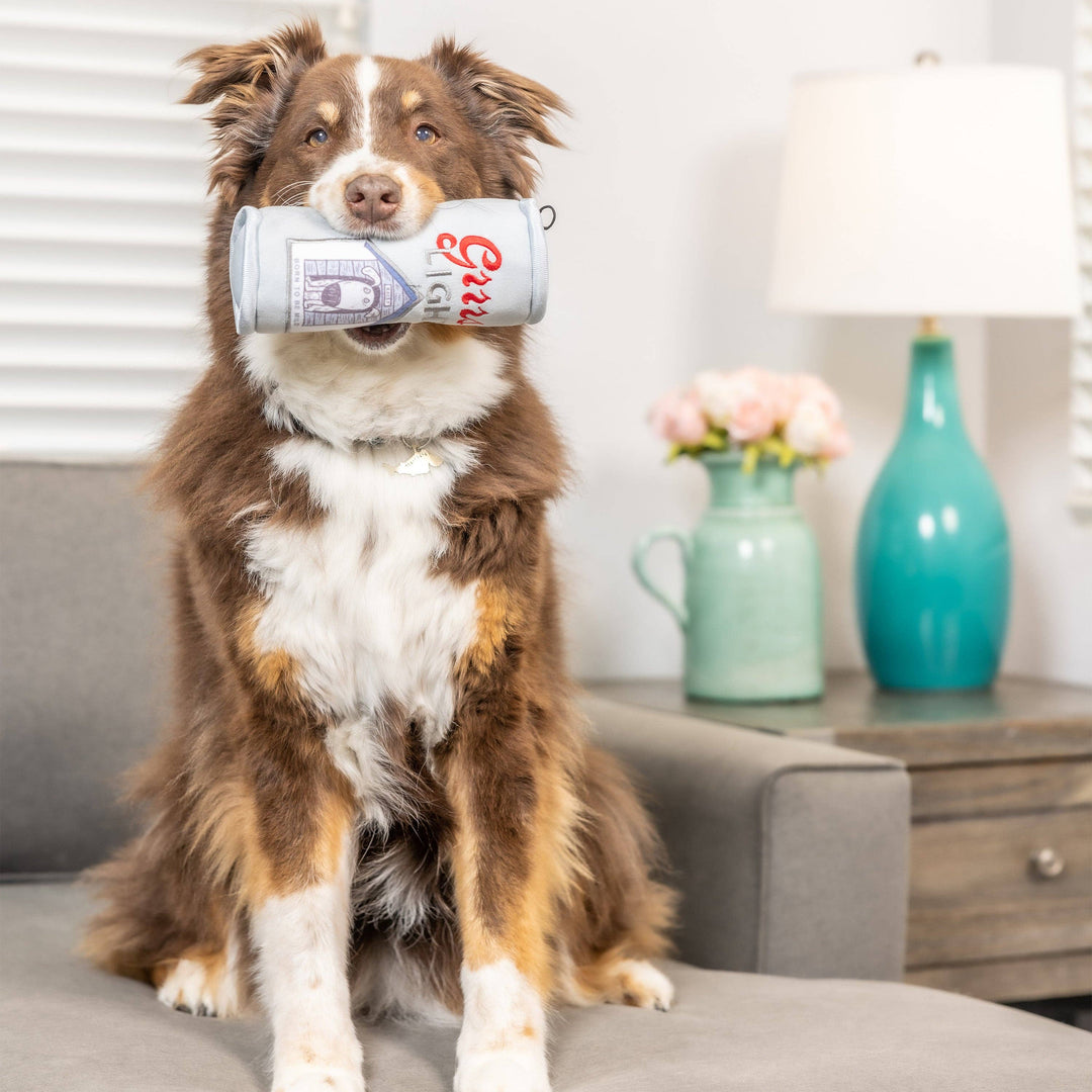 Grrrs Light For Dogs