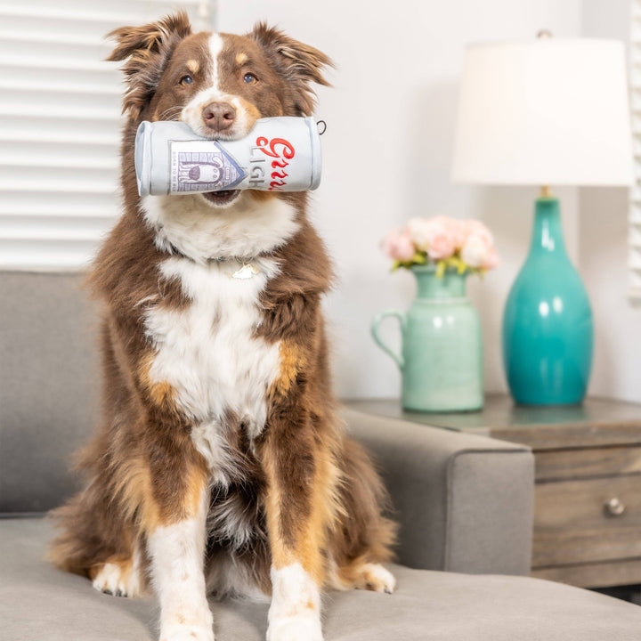 Grrrs Light For Dogs