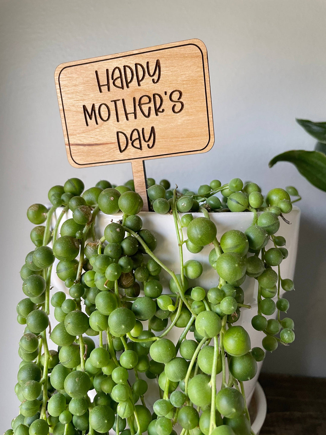 Mothers Day Funny Plant Signs