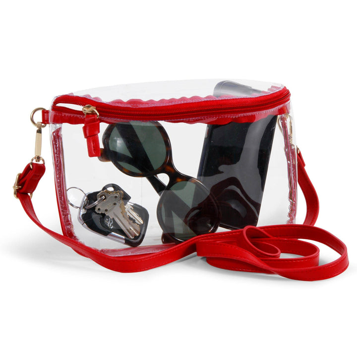 Black Clear Purse