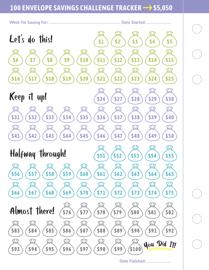 My 100 Envelope Savings Challenge Binder
