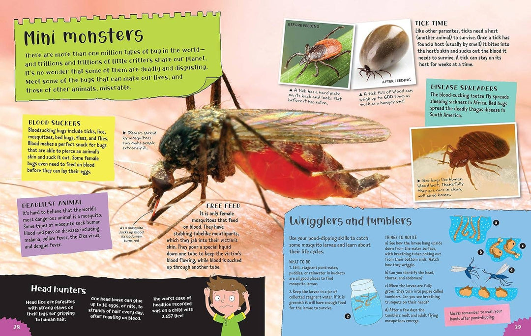 Project Bugs