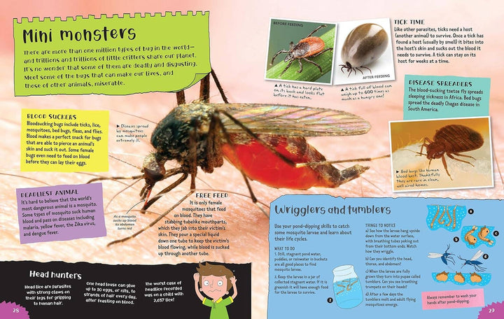 Project Bugs