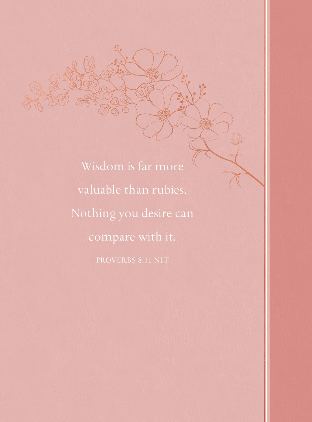 Daily Wisdom for Women (Daily Devotional, 2025 Edition)