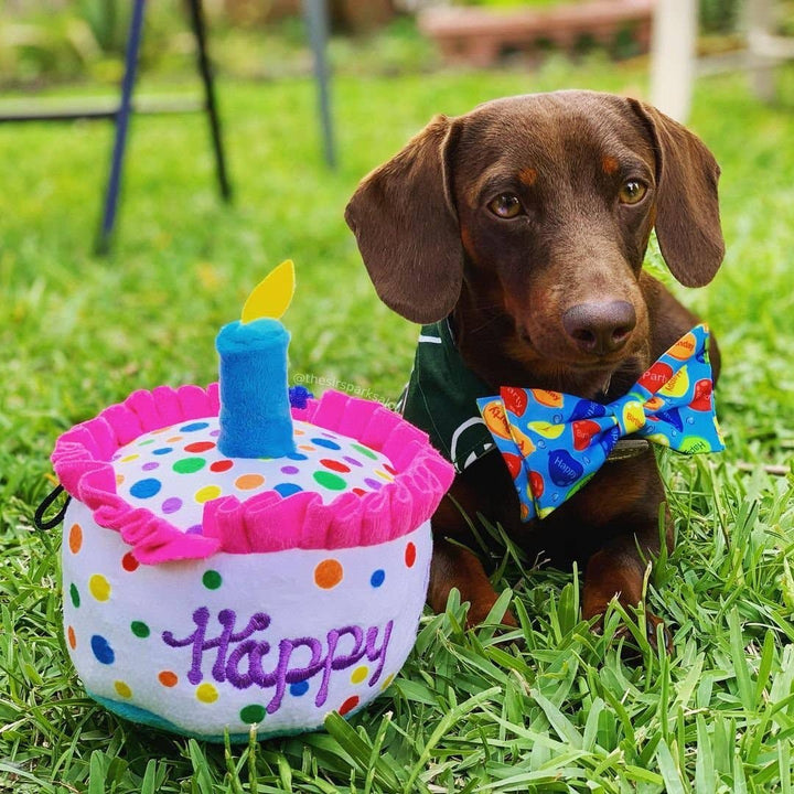 Happy Barkday Cake For Dogs