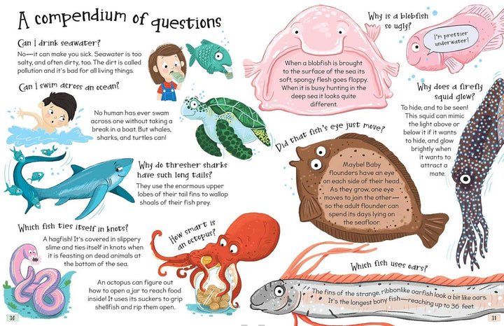 Curious Questions and Answers About Our Oceans