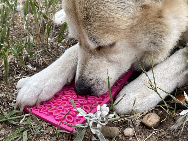 Flower Power Design eMat Enrichment Lick Mat - Pink