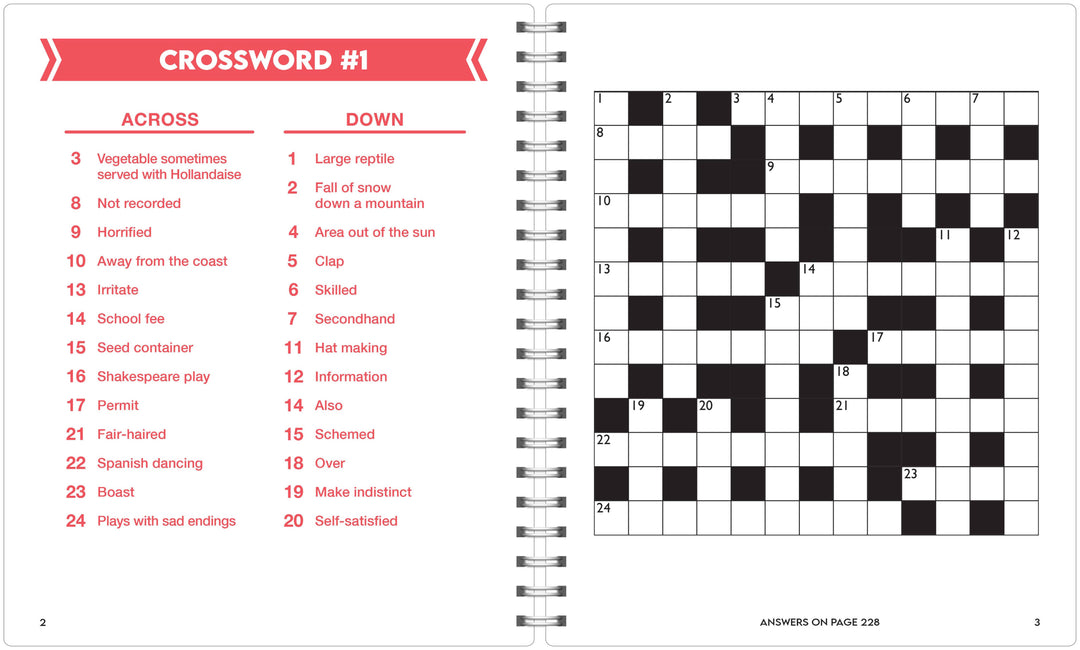 Brain Boosters - Large Print Crosswords