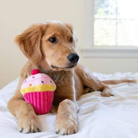 Pupcake Pink For Dogs
