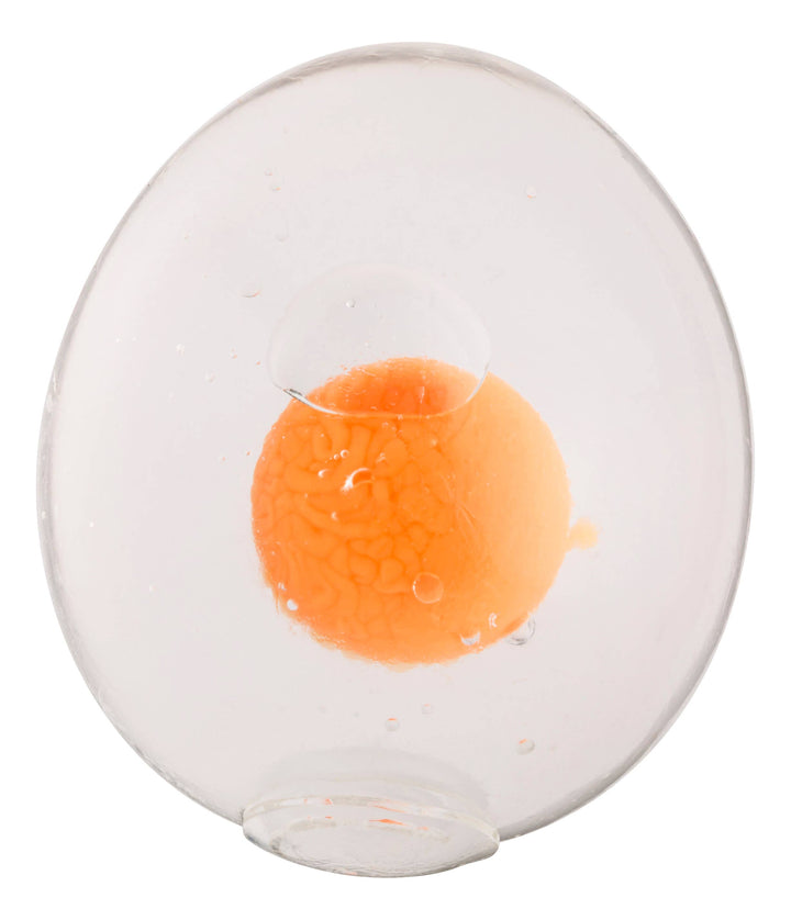 Farm Fresh Egg Splat Griddle Game