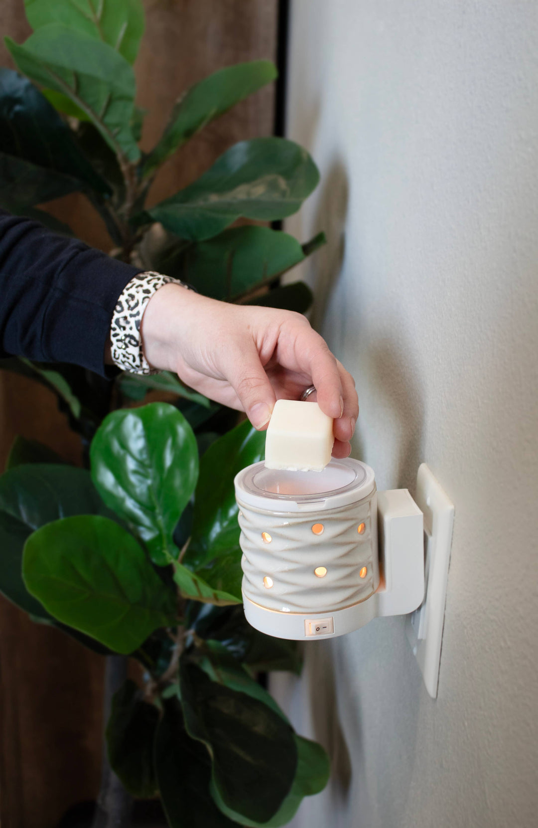 5.5 oz Wax Melts: Thanks a Latte