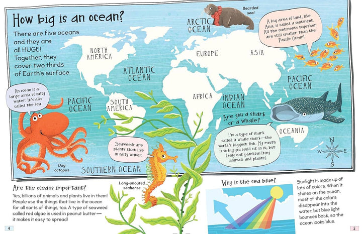 Curious Questions and Answers About Our Oceans