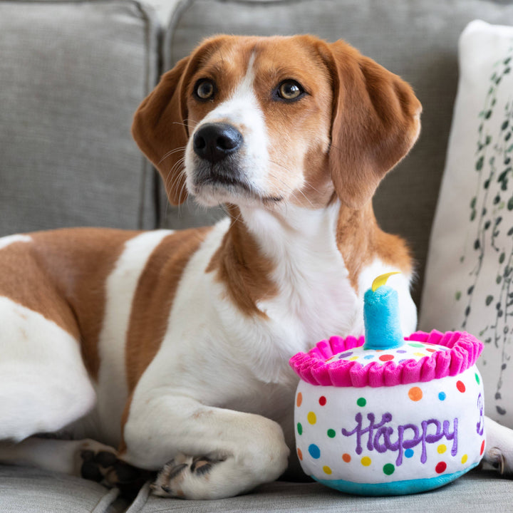 Happy Barkday Cake For Dogs