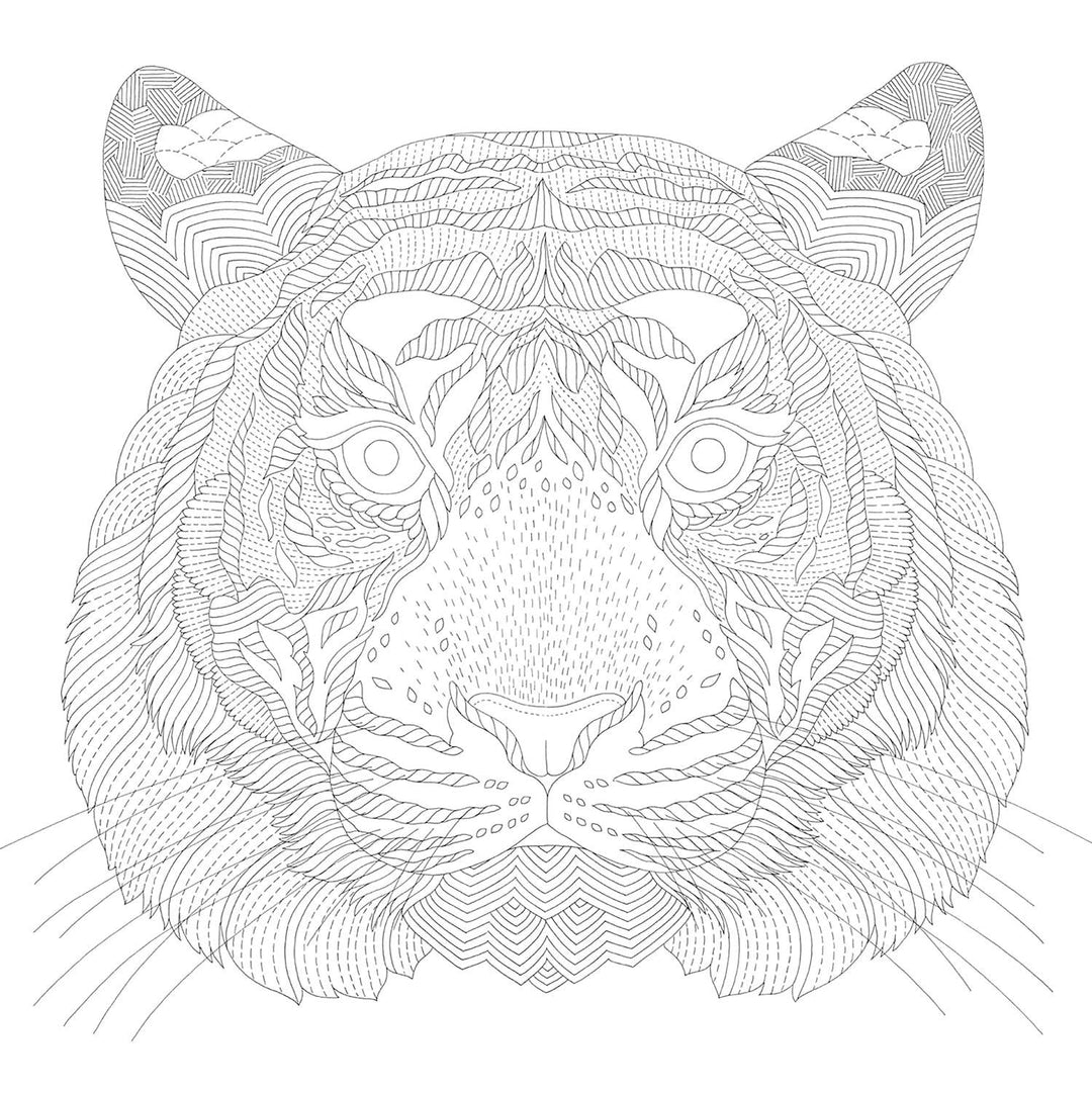 Millie Marotta's Animal Adventures Coloring Book