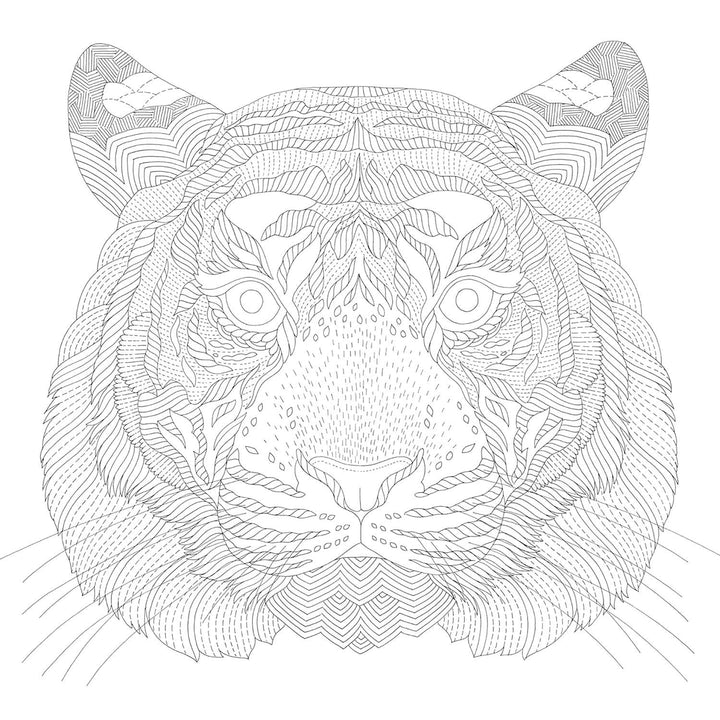 Millie Marotta's Animal Adventures Coloring Book