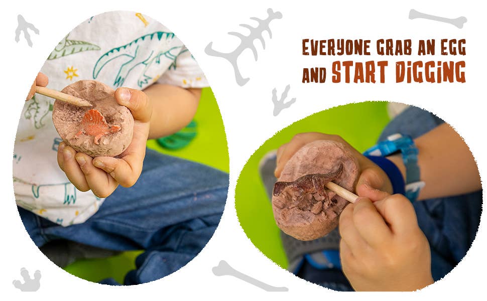 12 Dino Eggs STEM Dinosaur Toy For Kids