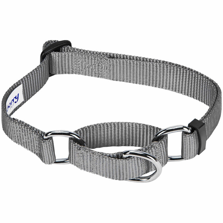 5 Colors, Classic Martingale Dog Collar