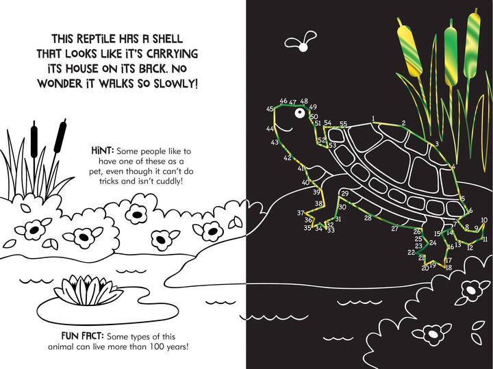 Dot-to-Dot Animals Scratch and Sketch