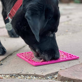 Jigsaw Design Emat Enrichment Licking Mat