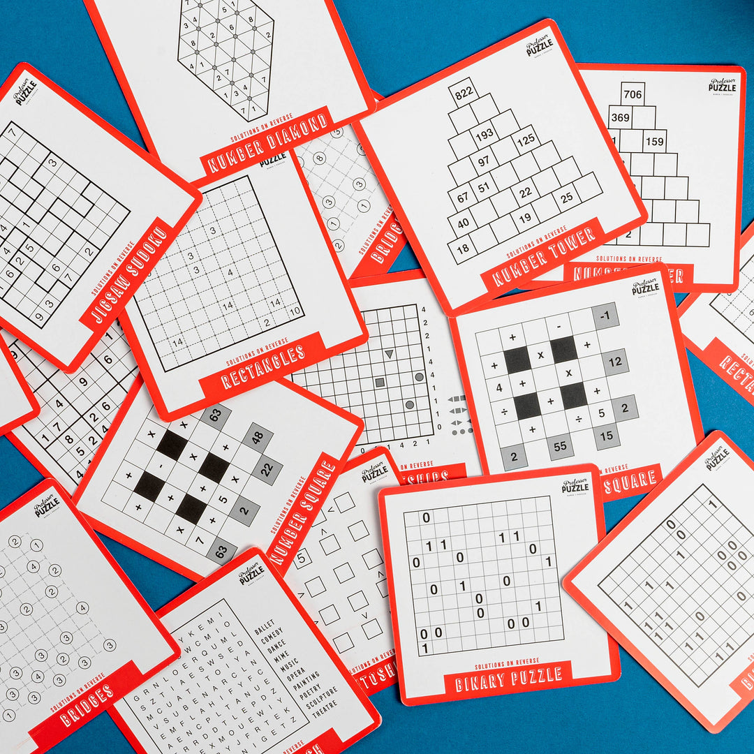 Puzzle a Day 365 Brain Puzzles