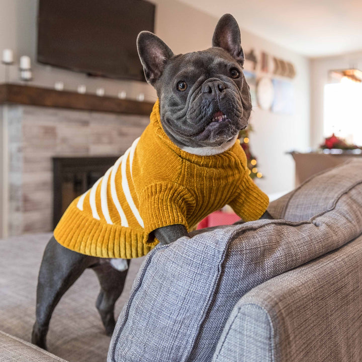 Ultra Soft Chenille Dog Sweater, Small to Large Breeds
