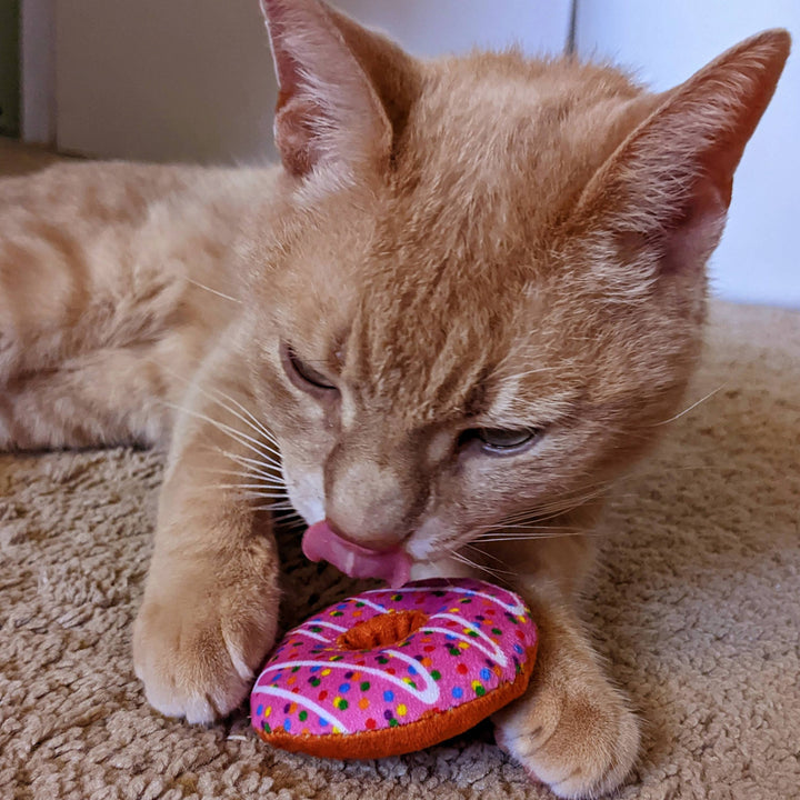 Catnip Donut for Cats