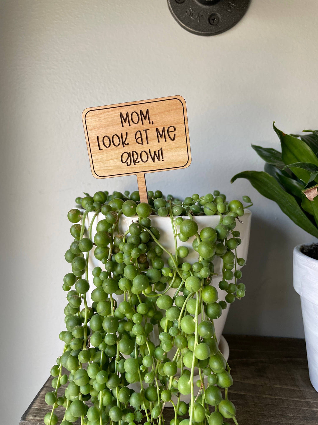 Mothers Day Funny Plant Signs
