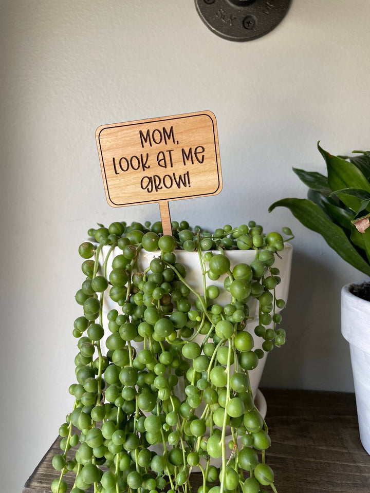 Mothers Day Funny Plant Signs