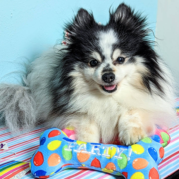 Party Time Bone Blue For Dogs