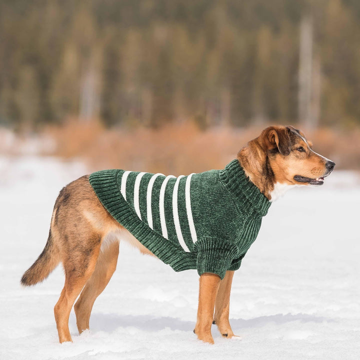 Ultra Soft Chenille Dog Sweater, Small to Large Breeds