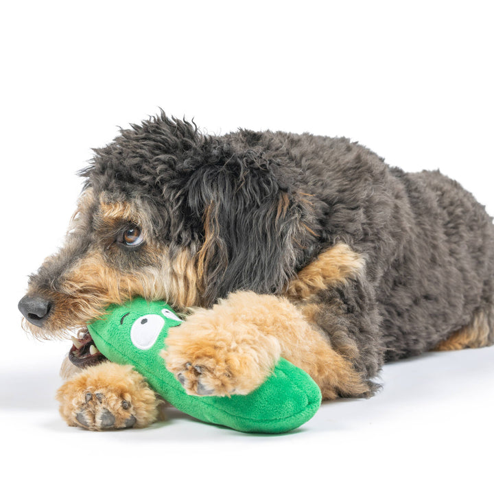Dell Pickle For Dogs