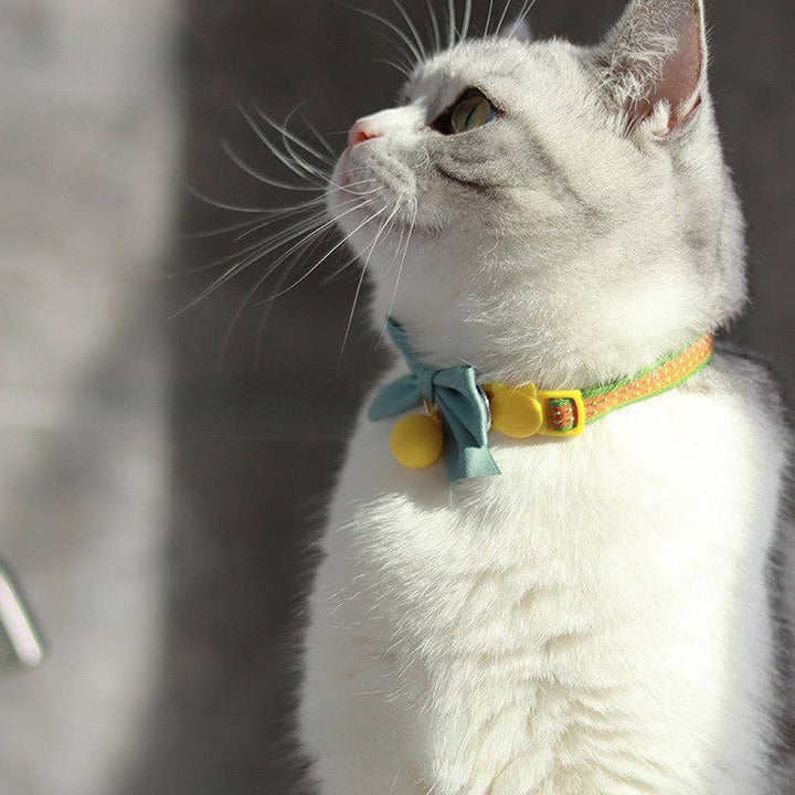 Mokka - Adjustable Collar with Bowknot & Bell