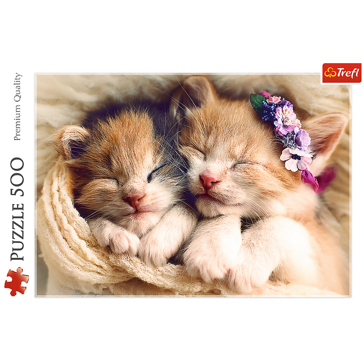 500 Piece Jigsaw Puzzles, Sleeping Kittens