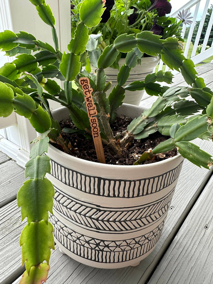 Everyday Plant Sticks/Signs