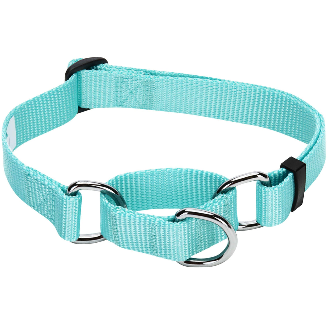 5 Colors, Classic Martingale Dog Collar