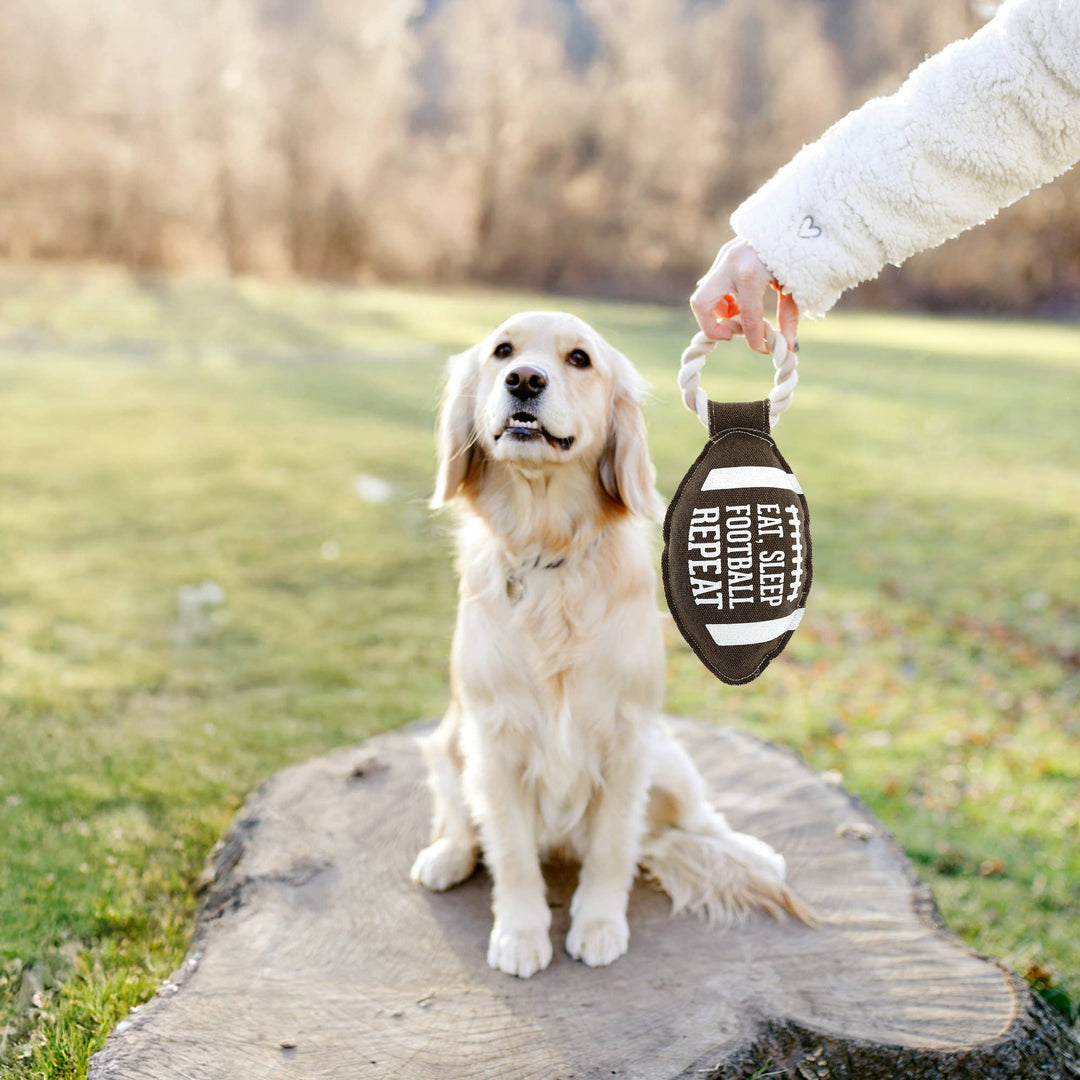 Football - 12" Canvas Dog Toy on Rope