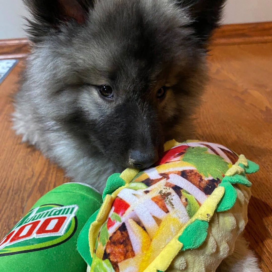 Taco Tuesday For Dogs