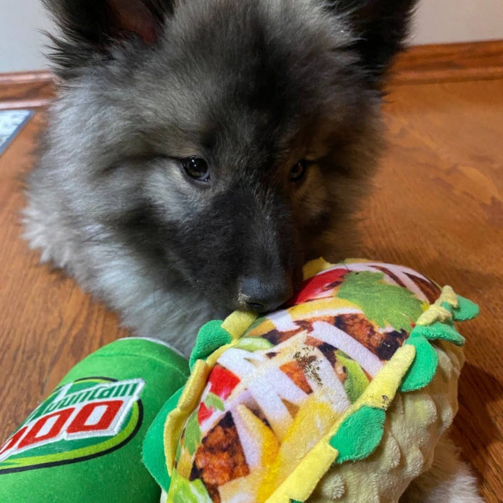 Taco Tuesday For Dogs
