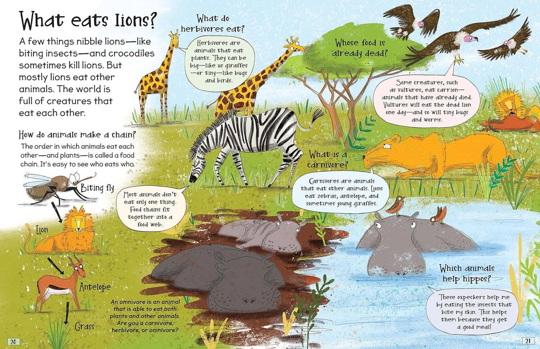 Curious Questions and Answers About Science