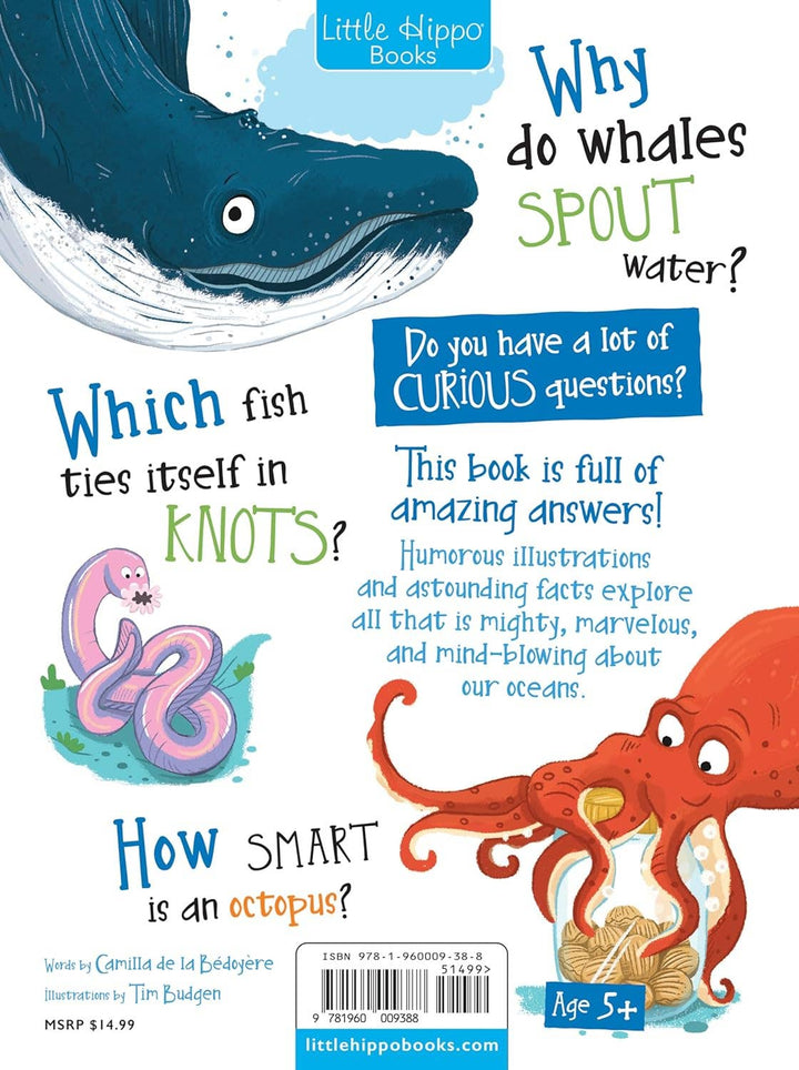 Curious Questions and Answers About Our Oceans