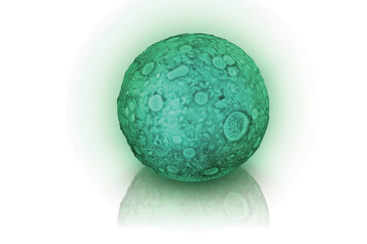 Astroverse Lunar Light Show Set, 4.5", 16 Colors