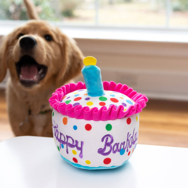 Happy Barkday Cake For Dogs