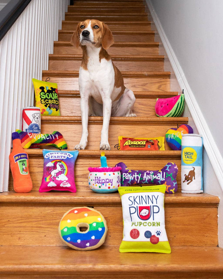 Sour Scratch Dog Toy