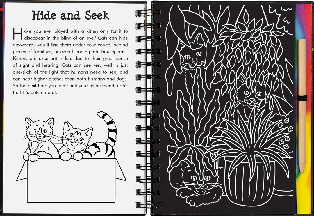 Kittens Scratch and Sketch