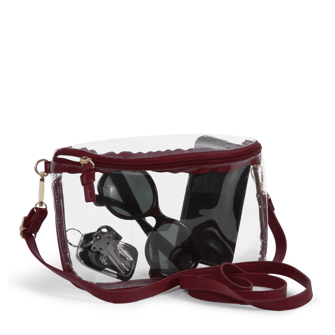 Black Clear Purse