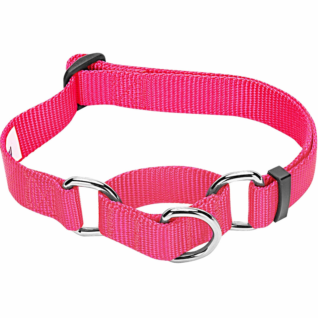 5 Colors, Classic Martingale Dog Collar