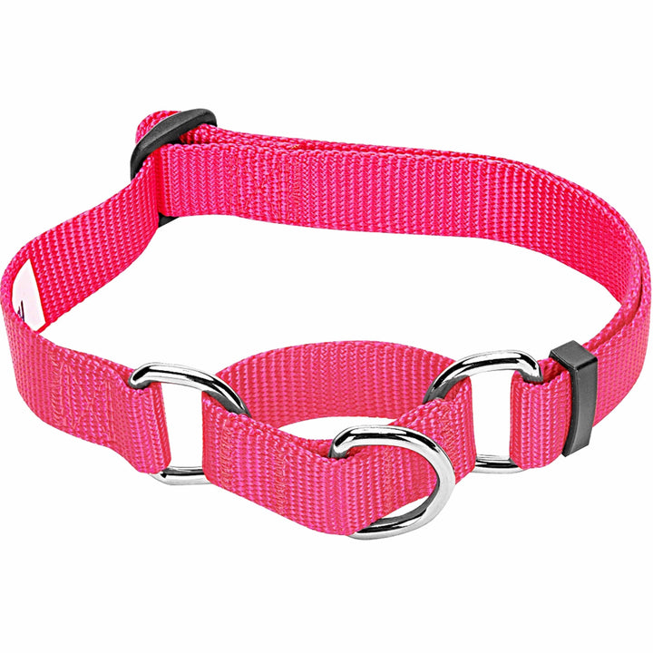 5 Colors, Classic Martingale Dog Collar