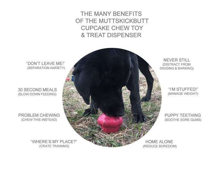 Cupcake Durable Rubber Chew Toy & Treat Dispenser - Pink