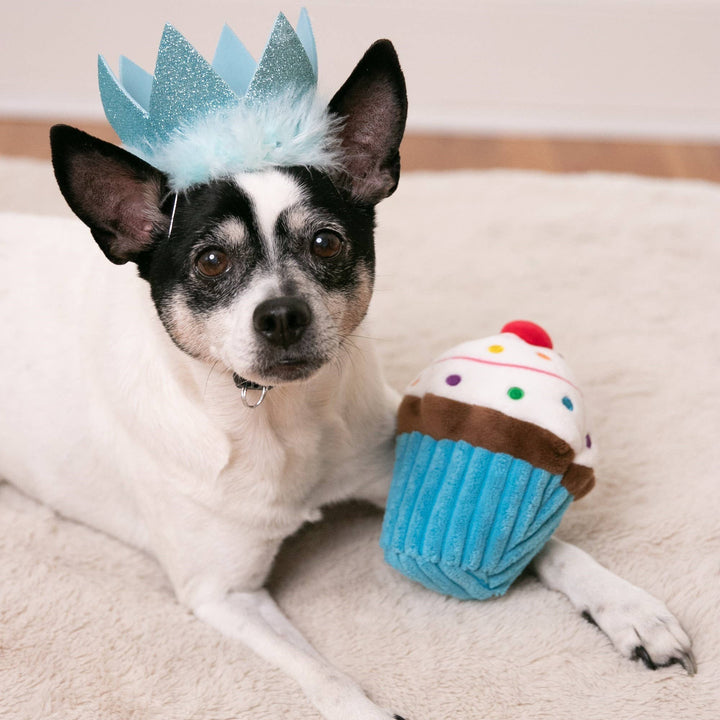 Pupcake Blue For Dogs